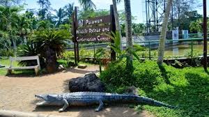 entrance sign of Palawan Wildlife Rescue and Conservation Centre